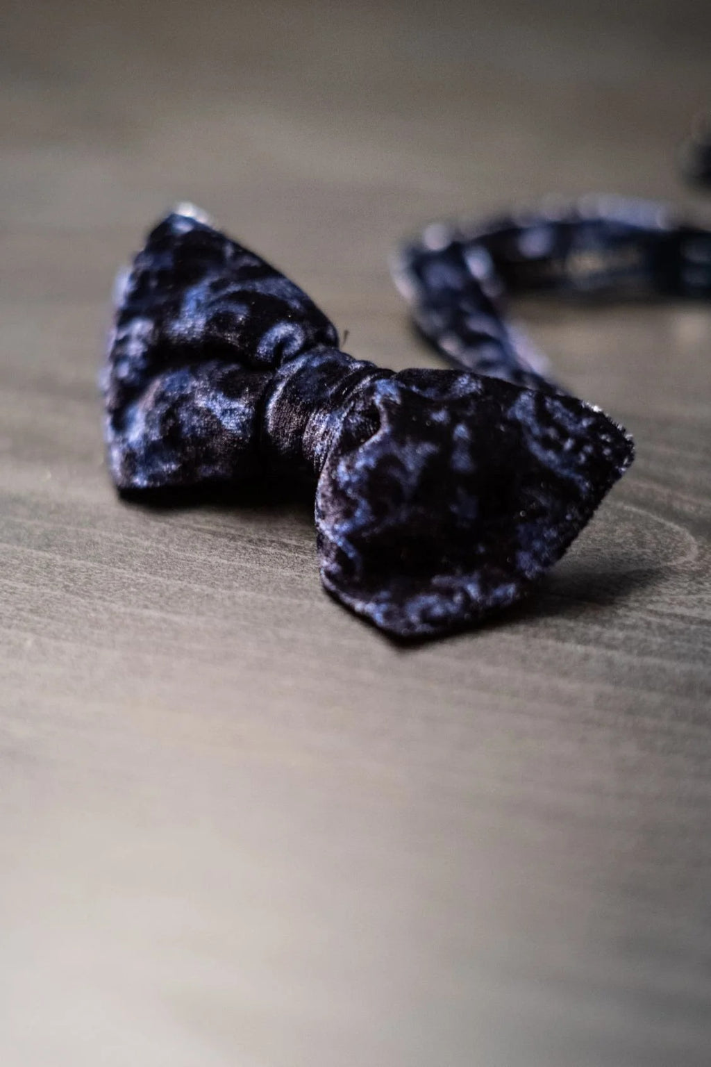Sera  Fine Silk - Navy Blue Patterned Velvet Ready Tied Bow Tie